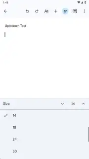 Google Docs screenshot 2