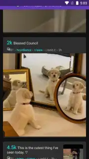 Flex screenshot 7