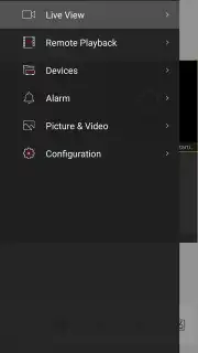 iVMS-4500 screenshot 9