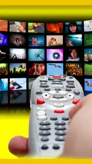 Universal Remote Control TV Pro screenshot 2