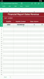 WPS Office screenshot 21