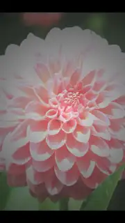 After Effect screenshot 5