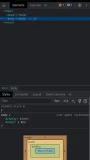 Kiwi Browser screenshot 2