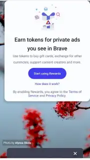 Brave Browser screenshot 3