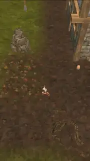 Polyma screenshot 7
