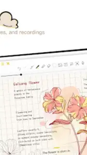 J Notes：Note-Taking&Editor PDF screenshot 11