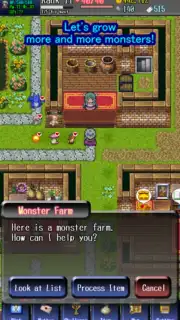 Eternal Rogue screenshot 6