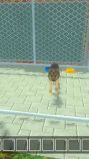 Animal Shelter Pet World Life screenshot 4