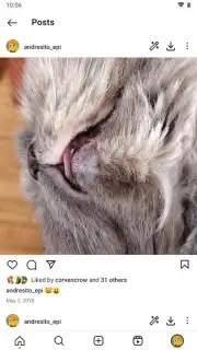 Honista screenshot 9