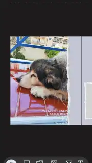 ProCCD screenshot 5