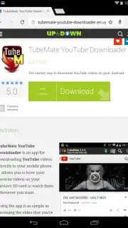 Chrome Dev screenshot 4