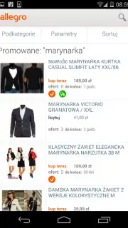 Allegro screenshot 10