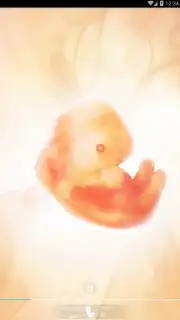 Pregnancy + screenshot 8