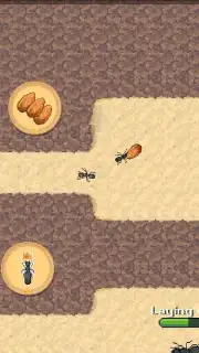 Pocket Ants screenshot 2