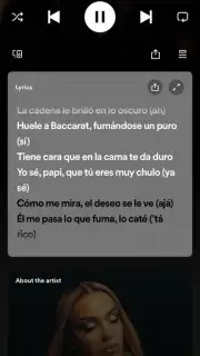 Spotify screenshot 14