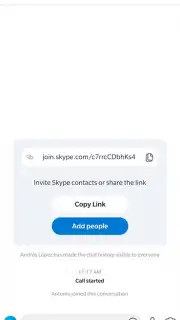 Skype screenshot 8