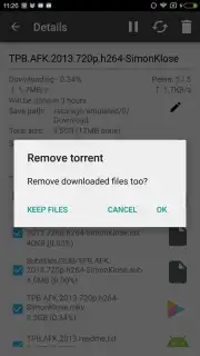 CatTorrent screenshot 4