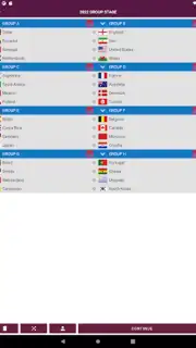 World Football Simulator screenshot 18