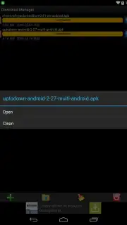 Download Manager screenshot 2