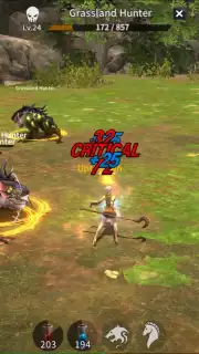 Rebirth Online screenshot 2