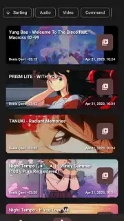 YTDLnis screenshot 3