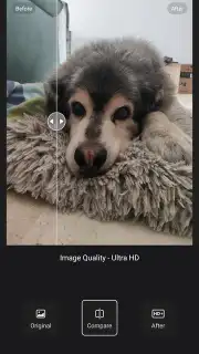 Wink screenshot 1