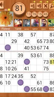 Loto Online screenshot 2