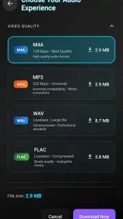VidCombo: All Video Downloader screenshot 6