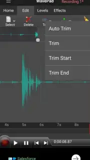 WavePad screenshot 4