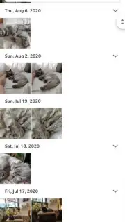 Google Photos screenshot 8