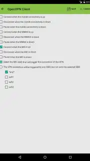 OpenVPN Client Free screenshot 2