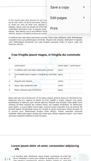 Progromatic DOCS Reader screenshot 3