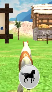 Pony Horse Simulator Kids 3D screenshot 1
