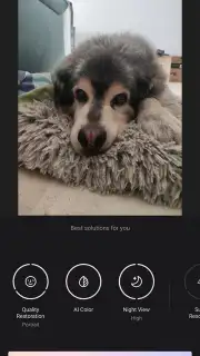 Wink screenshot 12