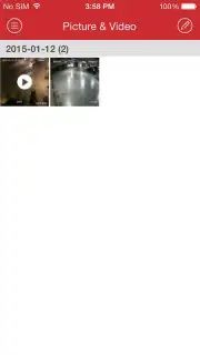iVMS-4500 screenshot 3