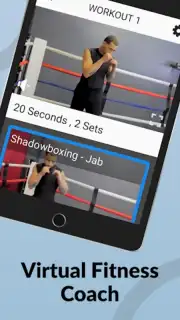 Ultimate MMA Fighting Program screenshot 3