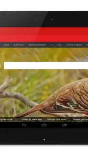Anonymous Browser screenshot 2