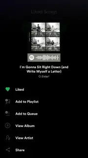 Spotify screenshot 22