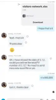 Skype screenshot 2