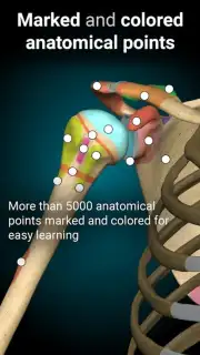 3D Anatomy Learning screenshot 7
