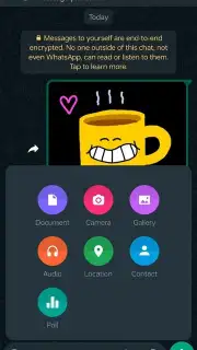 WhatsApp Messenger screenshot 28