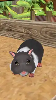 PetHotel - My animal boarding screenshot 3