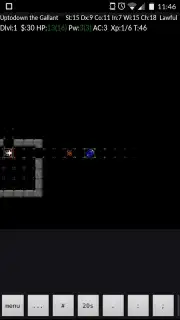 NetHack screenshot 9