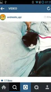 OGInsta+ screenshot 1