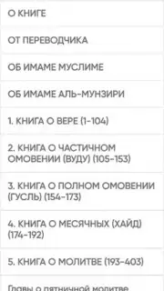 САХИХ МУСЛИМ screenshot 5
