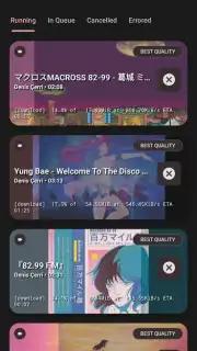 YTDLnis screenshot 8