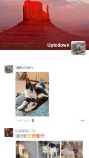 WeChat screenshot 17
