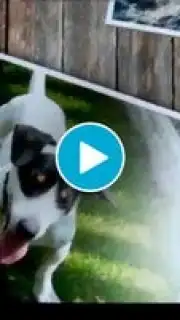 SlideShow5000 FREE screenshot 1