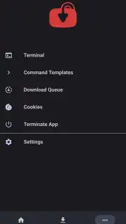 YTDLnis screenshot 21
