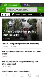 Web Browser screenshot 9